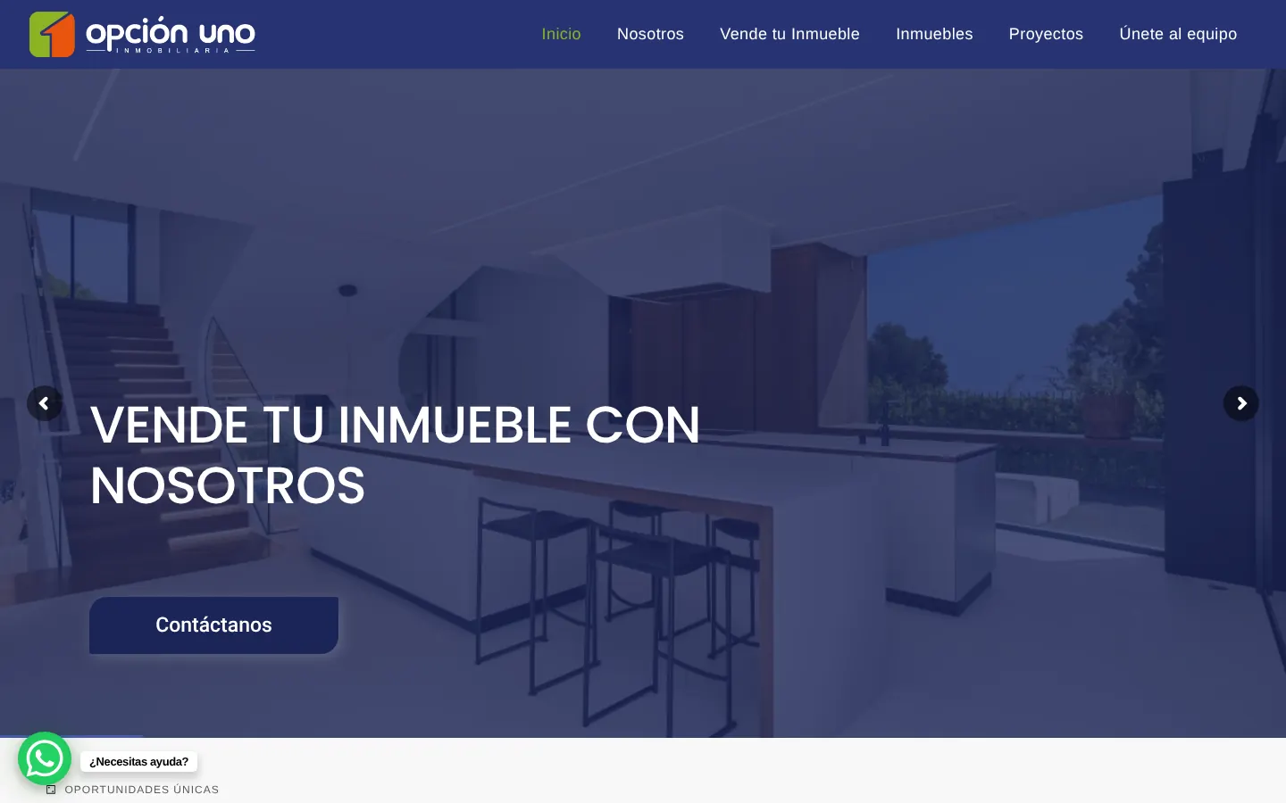 Web de Opción Uno en computadora