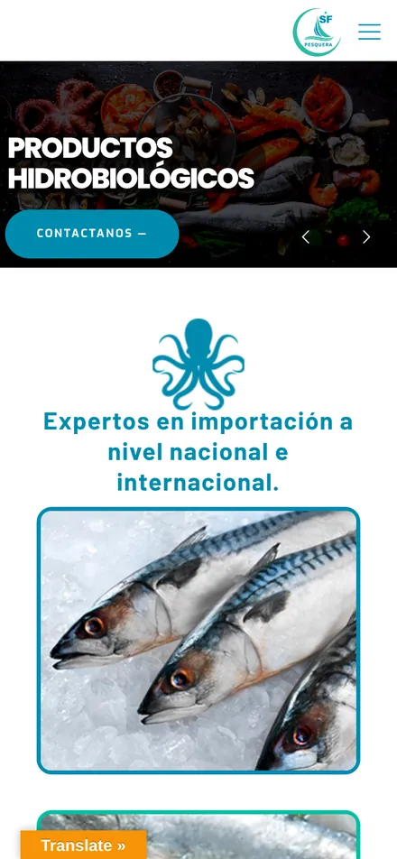 Web de SF Pesquera en celular